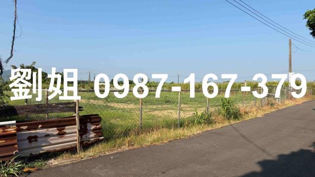 燕巢農地-1